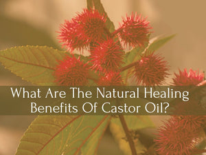 What Are The Natural Healing Benefits Of Castor Oil? Unveil This Magical Potion With Us