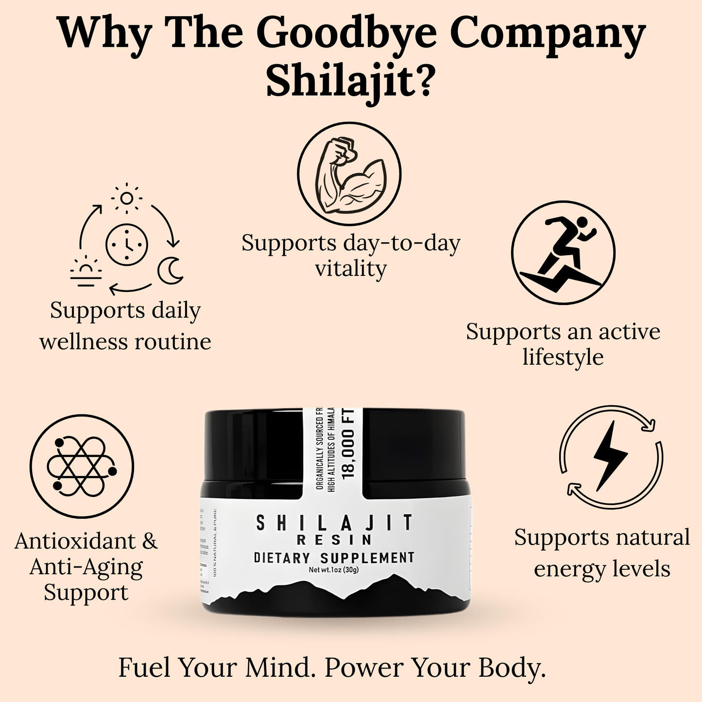 The Goodbye Company Organic Himalayan Shilajit Resin