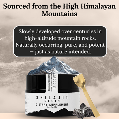 The Goodbye Company Organic Himalayan Shilajit Resin