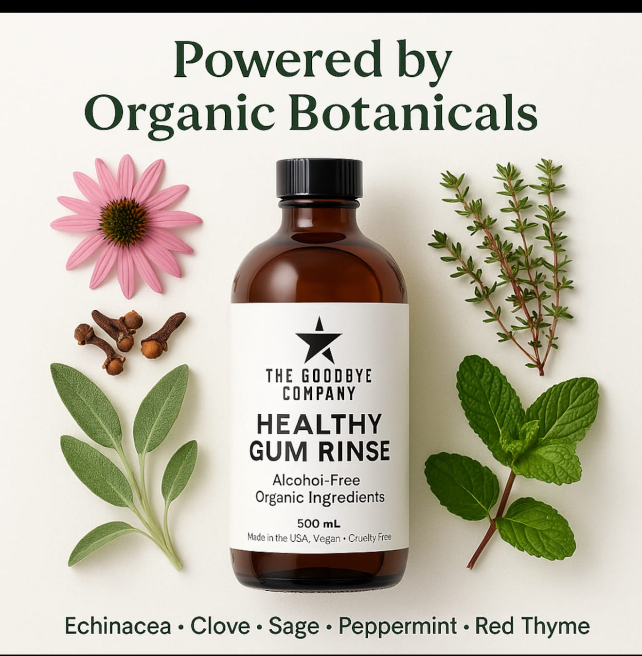 The Goodbye Company Healthy Gum Rinse